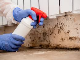 Mold Removal for HVAC Installations in Start, LA